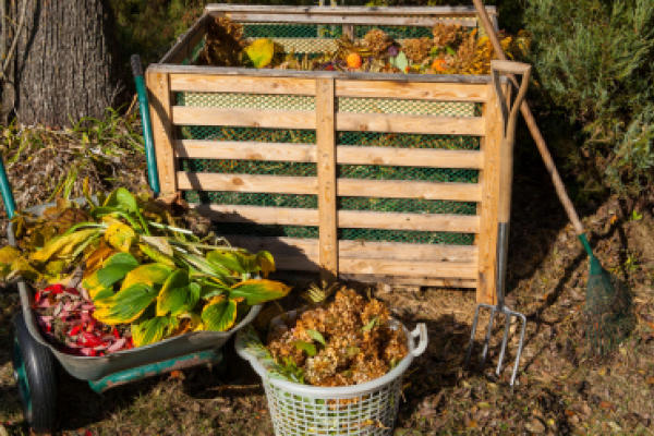 Tips to Care for our Planet in Honor of Earth Month & Earth Day! | UW ...