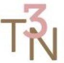 T3N Logo
