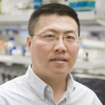 Photo of Kai Yu PhD