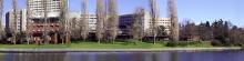University of Washington Center on Human Development and Disability (CHDD)
